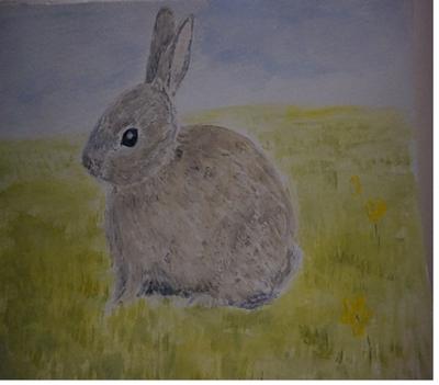 Baby Bunny